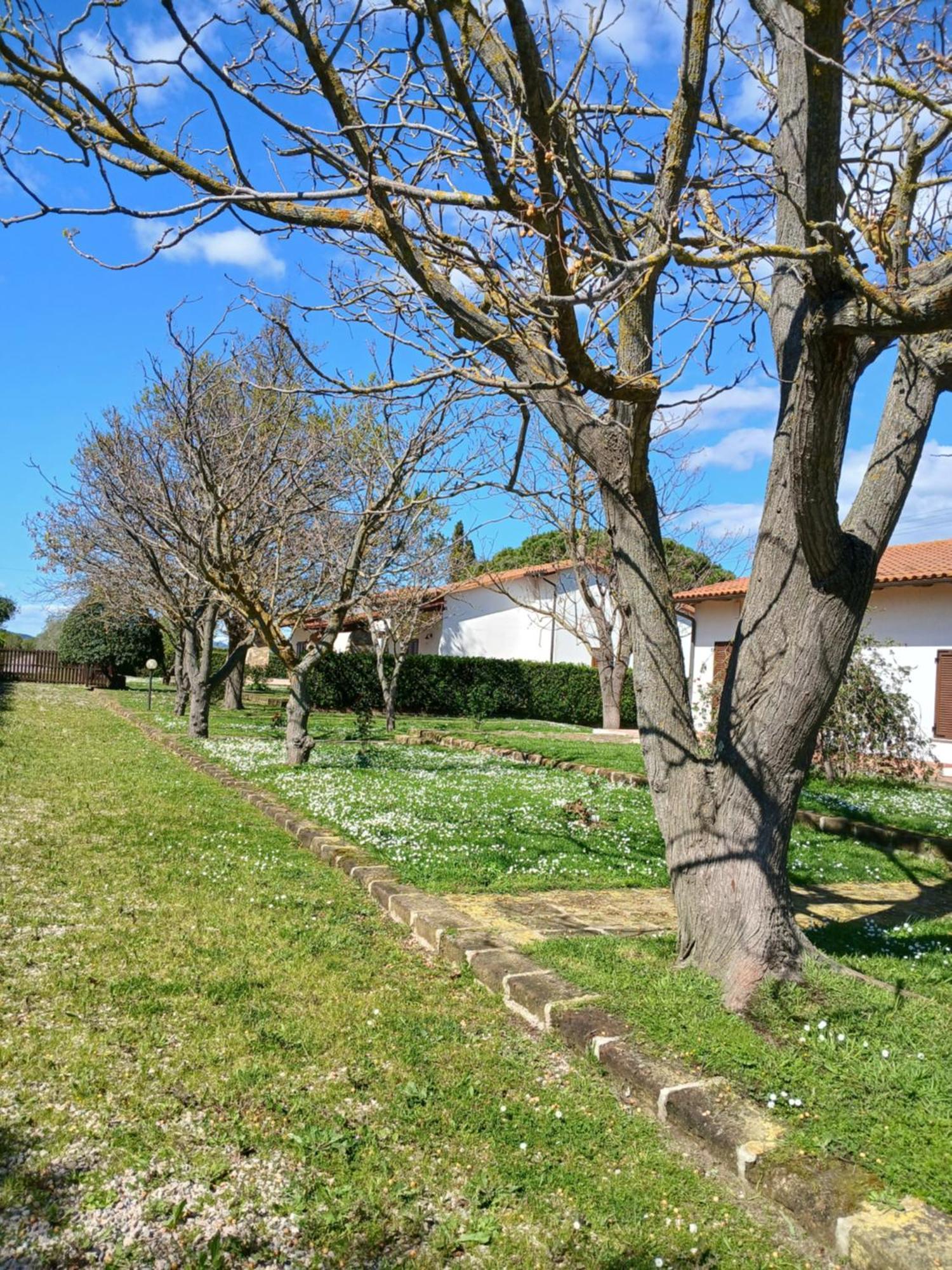 Azienda Il Tizzano อัลบิเนีย ภายนอก รูปภาพ