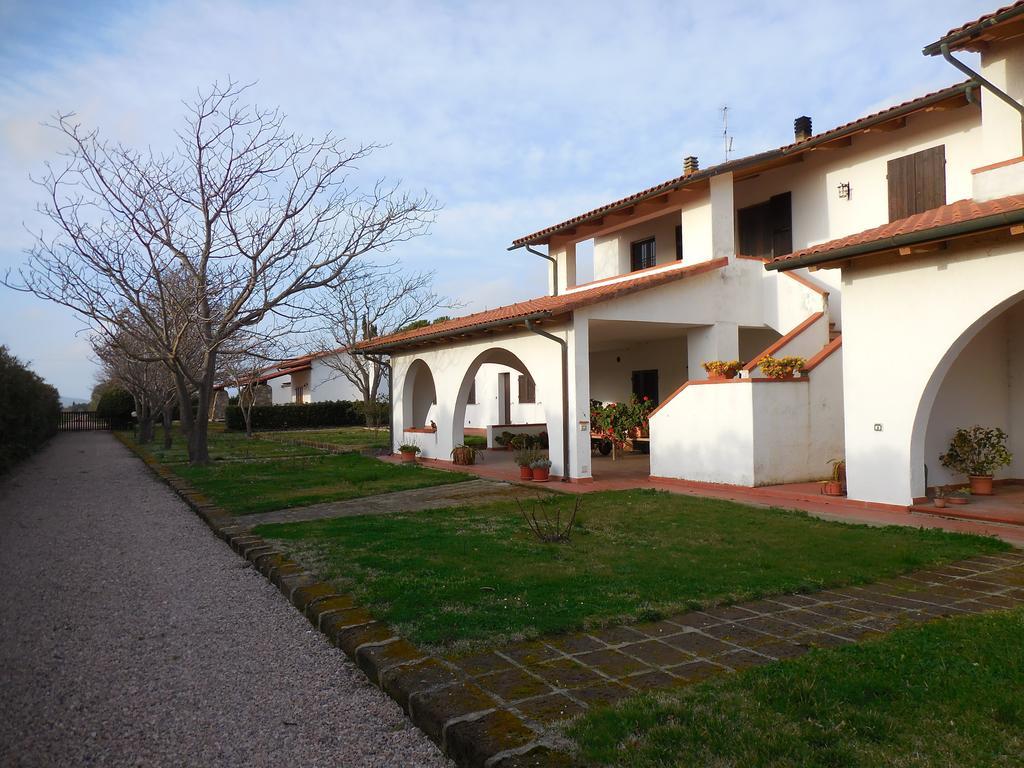 Azienda Il Tizzano อัลบิเนีย ภายนอก รูปภาพ